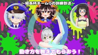 【スプラトゥーン２組長杯練習】チームQ練習放送～動き方を覚えよう～part3