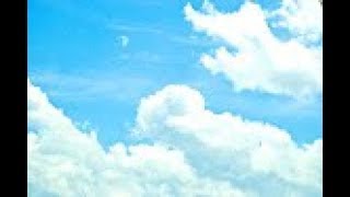 活動済み♪：三太郎の格闘ゲーム活動記〈真・三國無双８ 〉～Lv1から始める中国大陸漫遊の旅