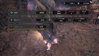 モンスターハンター：ワールド_20181102211615