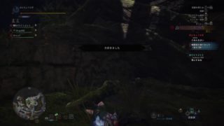 (1080p60HD)高画質！モンスターハンター：ワールド#118