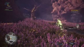 モンスターハンターワールド　初見プレイ　サバイバル生活１日目