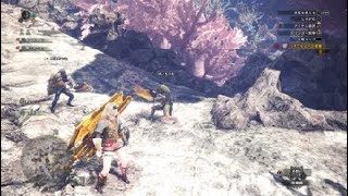 モンスターハンター：ワールド_20181127234852