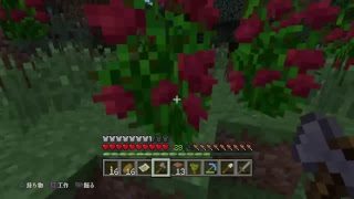 [PS4] マインクラフト [初見参加×][原点回帰] ～何もない生活から全自動化を目指す!![S2]～ #5【初見さん,参加者大歓迎】