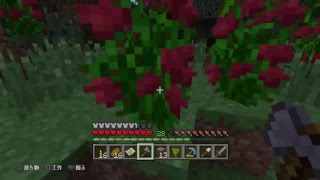 [PS4] マインクラフト [初見参加×][原点回帰] ～何もない生活から全自動化を目指す!![S2]～ #5【初見さん,参加者大歓迎】