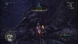 モンスターハンター：ワールド_20181119010849