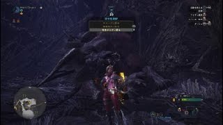 モンスターハンター：ワールド_20181119010849