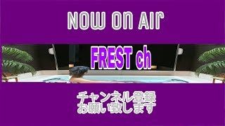 フォートナイト　スナイプ配信　優勝者1000円