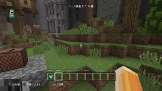 マインクラフト　サバイバル　もしくは　バトル