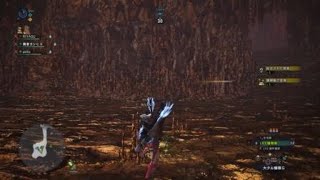 モンスターハンター：ワールド_20181113004315