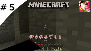 【マインクラフト】許される・・・よね？ #5