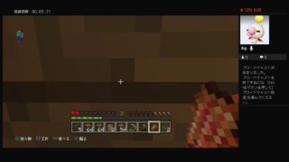 かなコロマインクラフト