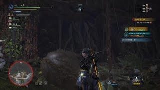 モンスターハンター：ワールド_20181123005104