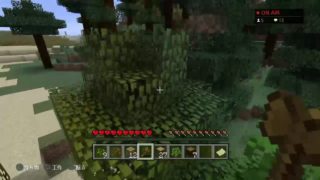 みぞさんとマインクラフト☆新ワールド♪