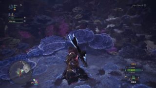 モンスターハンター：ワールド_20181104024207