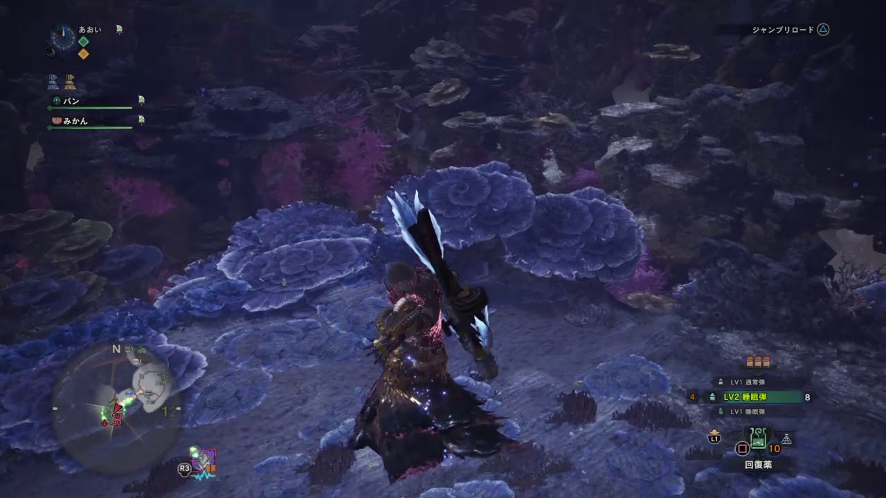 モンスターハンター：ワールド_20181104024207