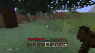 【マインクラフトPS4】#1　死んだら終了。難易度ハードでサバイバル！