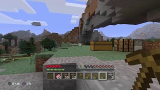 ［マインクラフト]雑談　練習配信