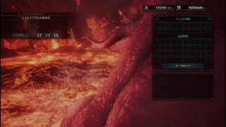 モンスターハンター：ワールド　ベヒソロ33:10