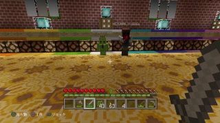 【PS4版マインクラフト】ミズ、建築するの巻【e.o.w・初見歓迎】
