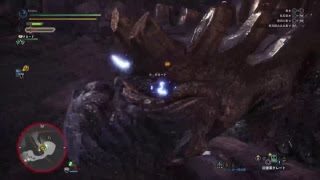 モンスターハンターワールド　初見プレイ　サバイバル生活５日目夜の部　フリー★７クエストやっていく！！