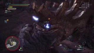 モンスターハンターワールド　初見プレイ　サバイバル生活５日目夜の部　フリー★７クエストやっていく！！
