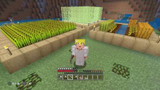 ＜マインクラフト＞　part 15　畑を改造！