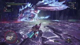 (1080p60HD)高画質！モンスターハンター：ワールド#120