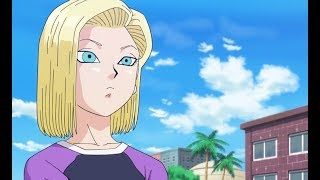 【アニメ】 ドラゴンボール 苦渋の決断 夫婦対決