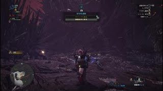 モンスターハンター：ワールド_20180206105011