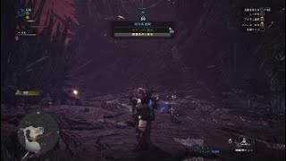 モンスターハンター：ワールド_20180206105011