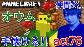 【マインクラフト】ジャングル探索!! オウムを手懐ける!! 【悲報】目の前で仲間が。。。【セイハのセハクラ実況act76】