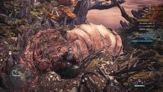 モンスターハンター：ワールド_リオレイア登場!討伐!!