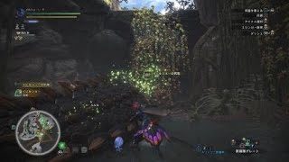モンスターハンター：ワールド_20181124111154