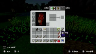 【マインクラフト】変態マイクラおじさん【switch版】