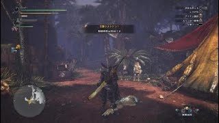 PS4PRO 内蔵HDD モンスターハンター：ワールド