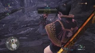 モンスターハンター：ワールド_20181112235526