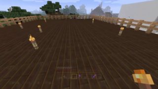 久々の夫婦でマインクラフト