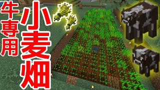 【マイクラ】牛専用！広すぎる小麦畑作り！#22【マインクラフト】【ぬかやん】