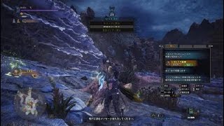 モンスターハンター：ワールド_裸に失敗したので本気で復讐！！♪
