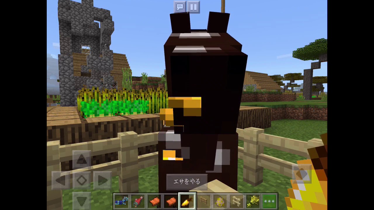 【ダークラ part3】【マインクラフト】馬を飼ってみた！【ダーチンゲーム】【MINECRAFT】