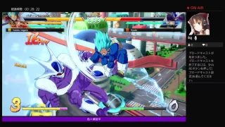 へっぽこカジュアルファイターズ