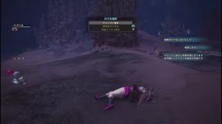 [動画]モンスターハンターワールド裸でどこまで行けるかチャレンジPart 4[MHW]
