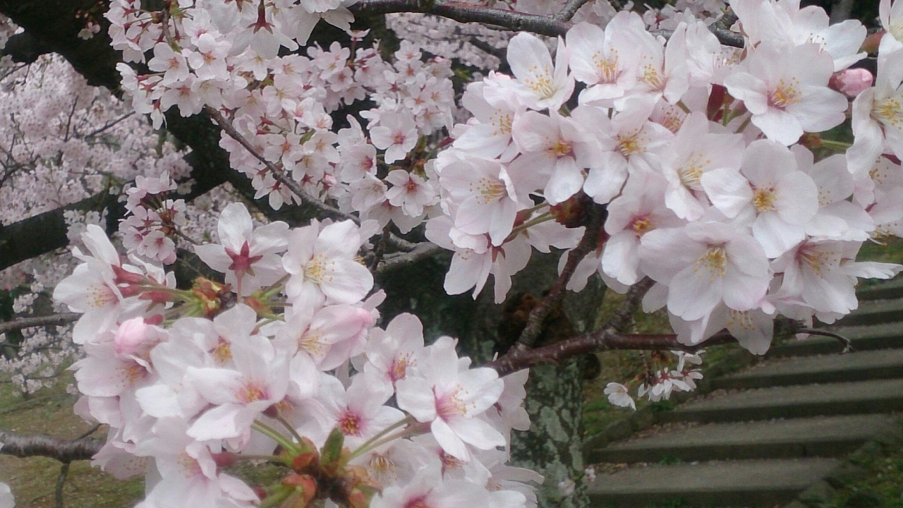 のんびりまったりマインクラフト9