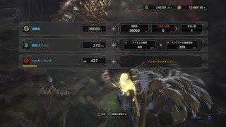 モンスターハンター：ワールド_歴戦イビルジョー×２（アーロイ重ね着イベクエ）太刀ソロ。