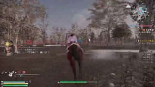 真・三國無双8オンラインやるぞ！！