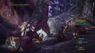 モンスターハンター：ワールド_20181105235908
