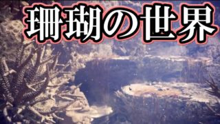 【MHW】せっかくだから狩りをしよう＃８【モンスターハンターワールド】