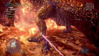 まったりプレイ［MHW］概要欄見て下さい！