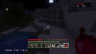 マインクラフト配信【11時からパンドランド】