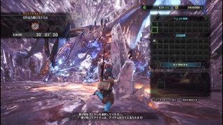 モンスターハンター：ワールド_20181122001424